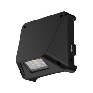 EMEGY Emergency LED Wall Light