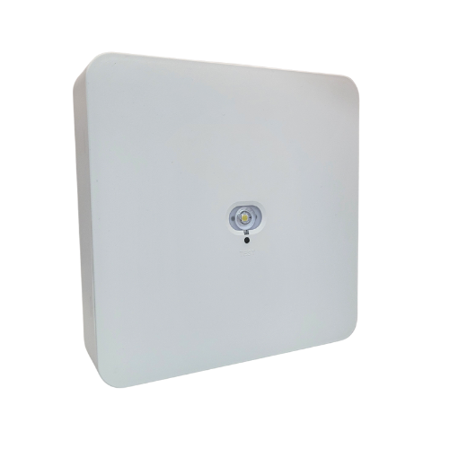 white big square side angle